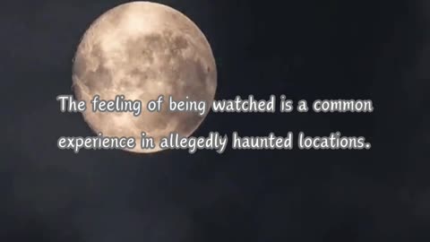 Dark Facts: Tales of Terror and Truth 24 Out of 100