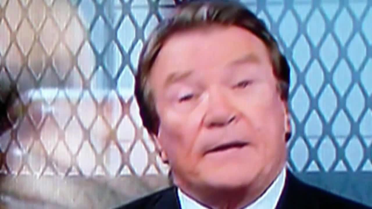 74. 60 MINUTES STEVE KROFT FELINE ALIEN