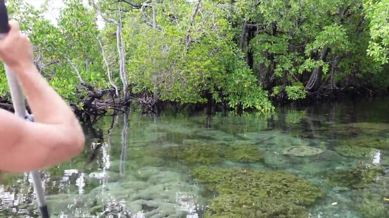 Exploring West Papua in Raja Ampat