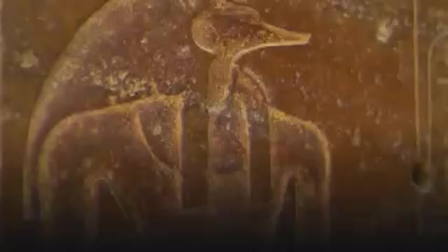 13000 year old alian mummy