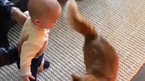 Cats take care of baby so cute