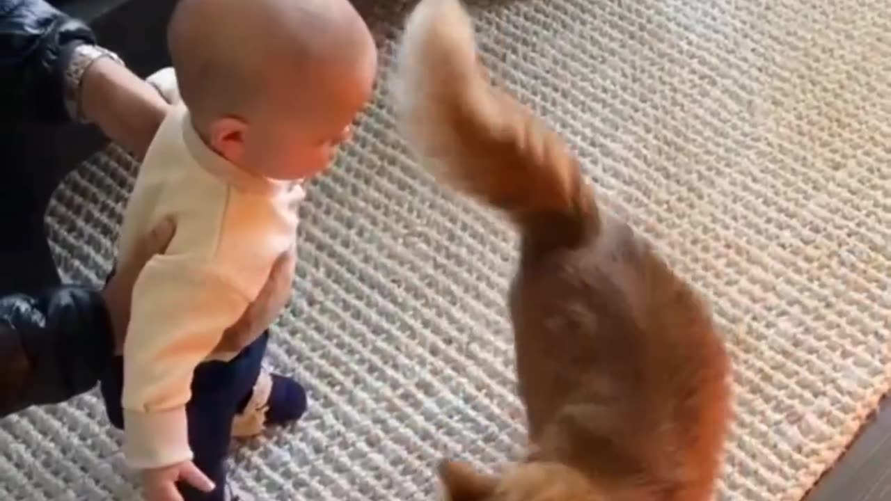 Cats take care of baby so cute