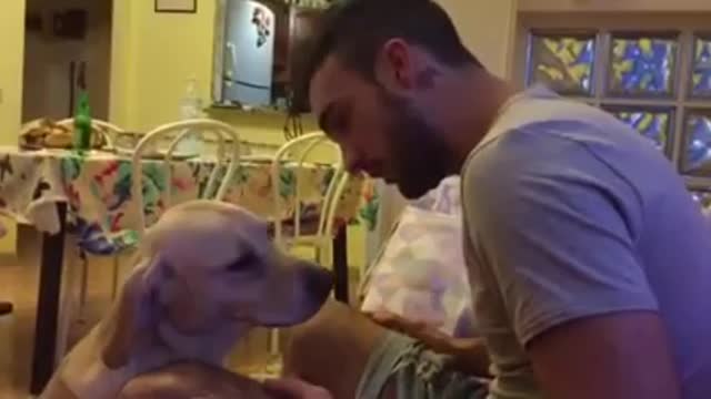 Dog apologizes for doing a bad thing