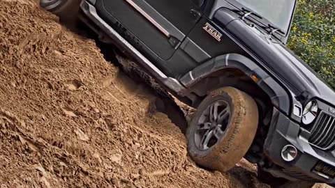 Cute girl driving Thar #thar