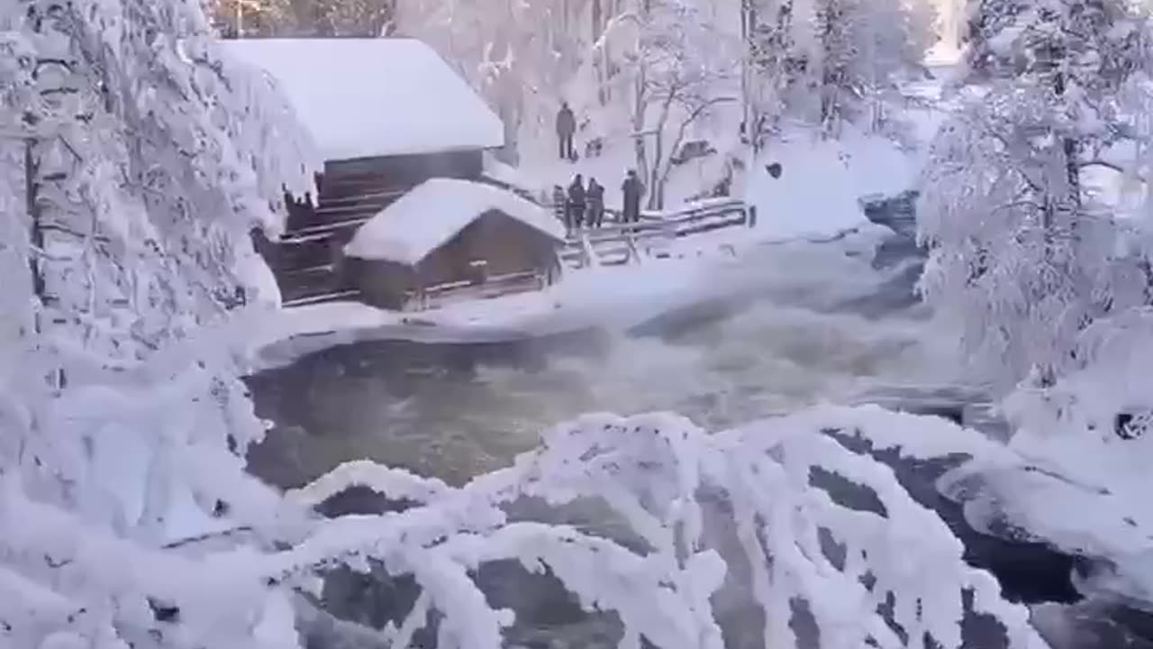 Beauty of Winter