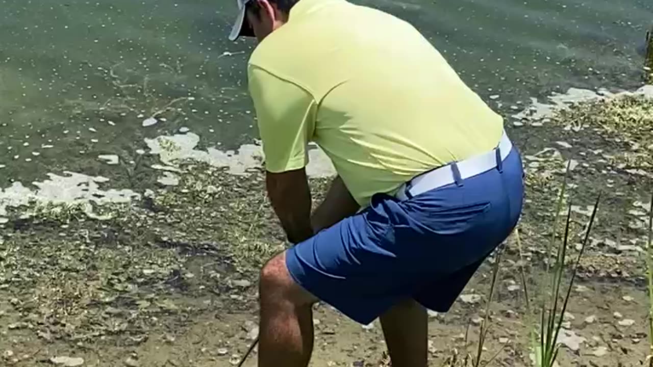 Golf is hard