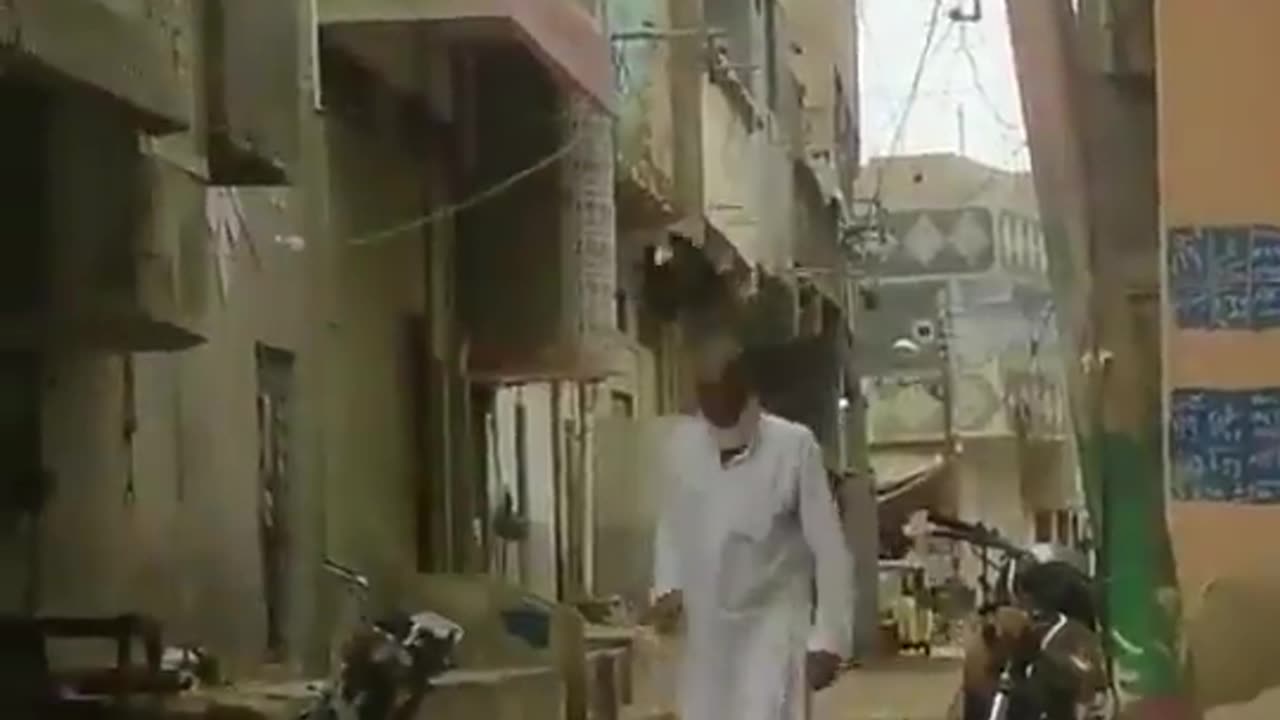 crow fight with a man