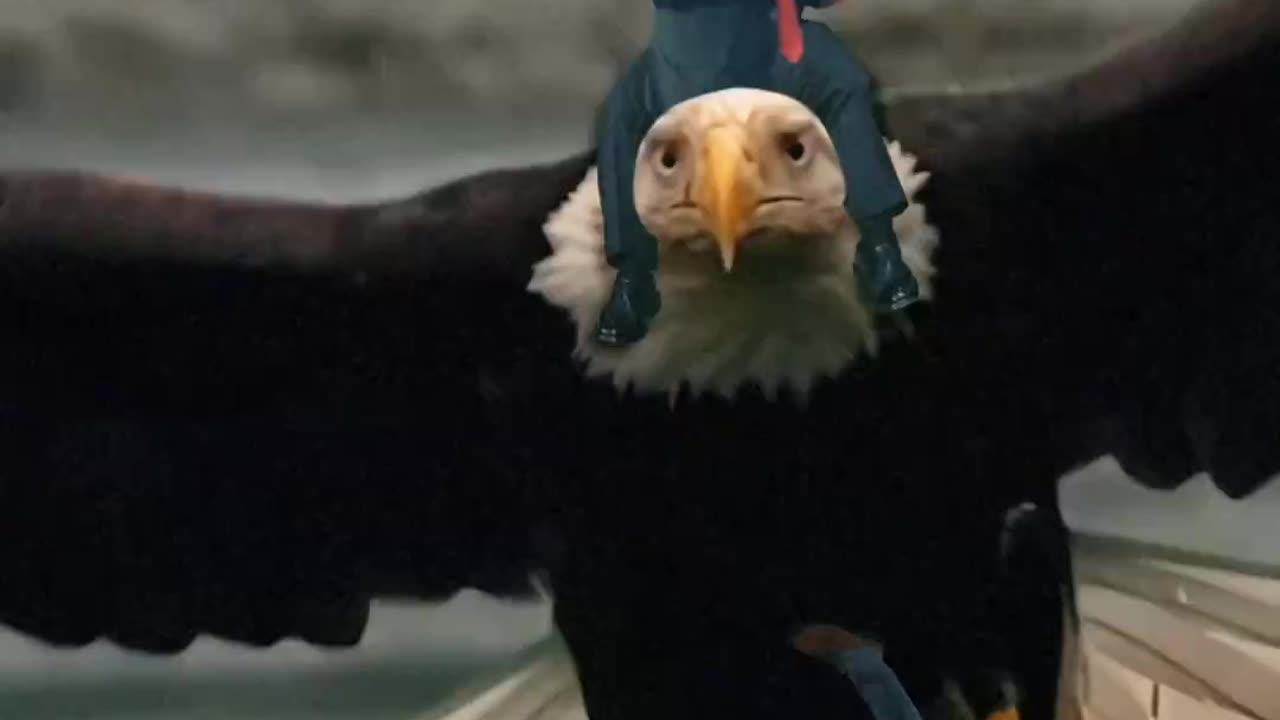 Trump riding an Eagle - LOL