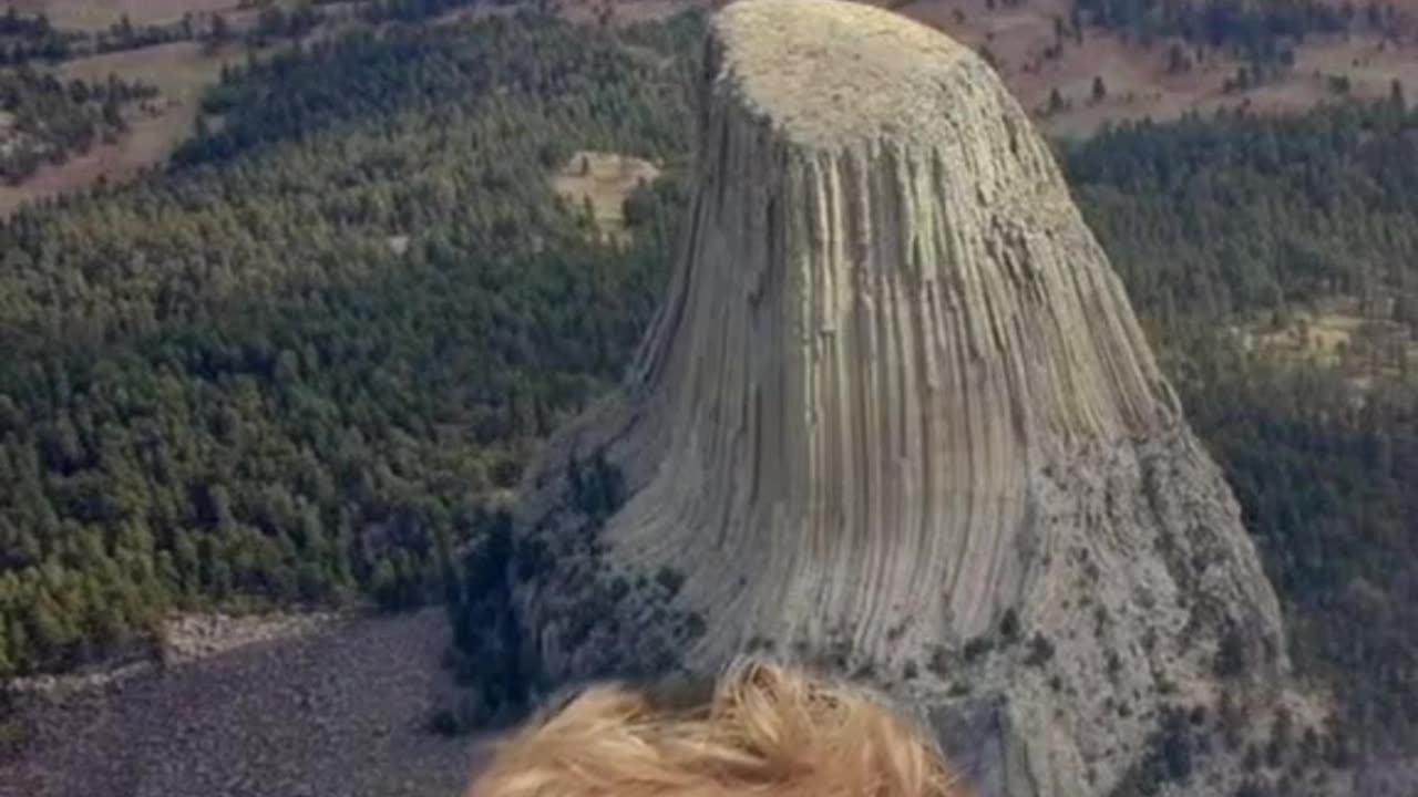 Giants? Trees? LIES?