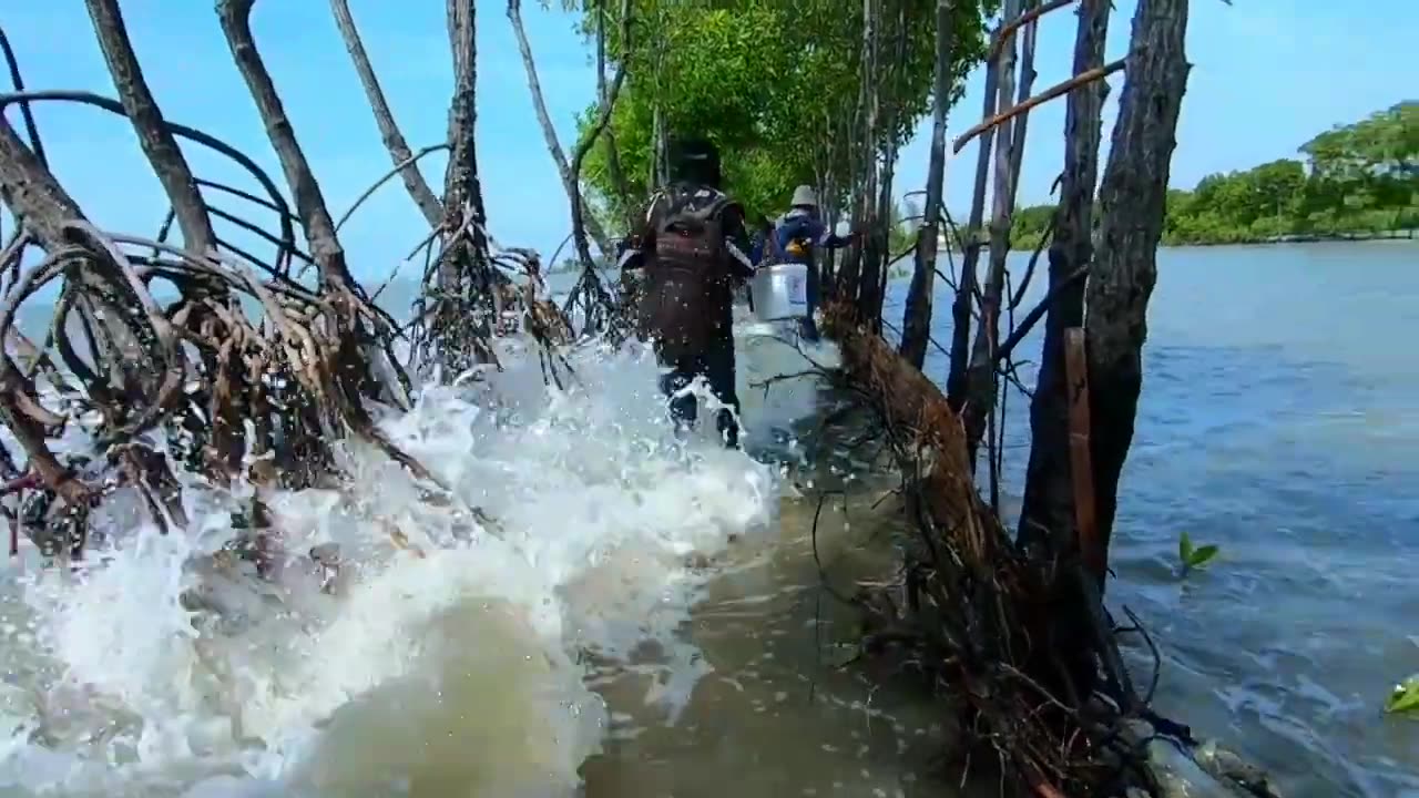 Fishing at The Bay Become Worst