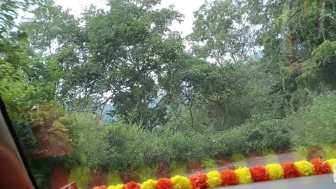 టిక్ ఫారెస్ట్ లో తిక్క వేషాలు