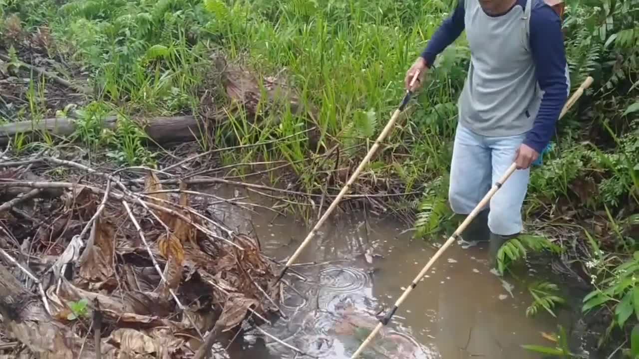 nyetrum ikan dirawa berlumpur_wow hasilnya...!!!-7