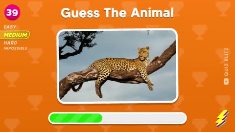 Guess 120 Animals in 3 Seconds I Easy, Medium, Hard, Impossible