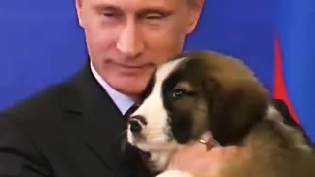 Putin love dogs and cats