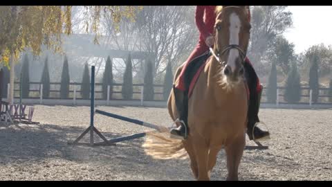 Young Caucasian female equestrian in helmet jumps the barrier