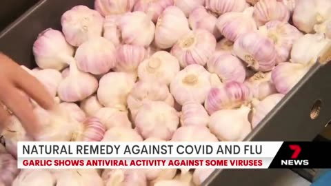 Garlic kills Covid while Covid Jabs Kill people