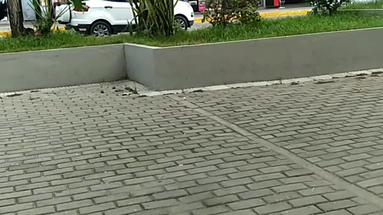 THE DAY DAY OF A GREAT CITY