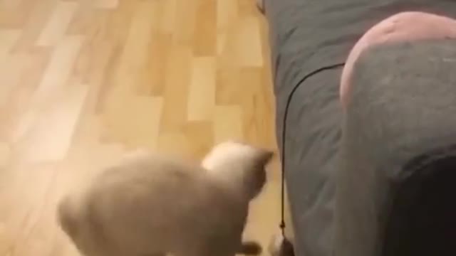 Looks like he's breakdancing