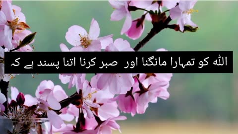 Islamic video/motivational video/mind relaxing /asthetic