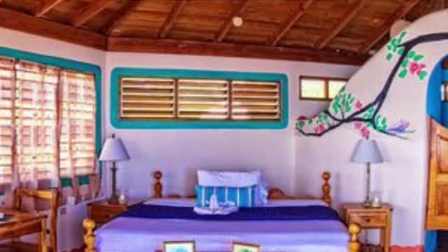 Psychedelicretreats are becoming the newluxury trips