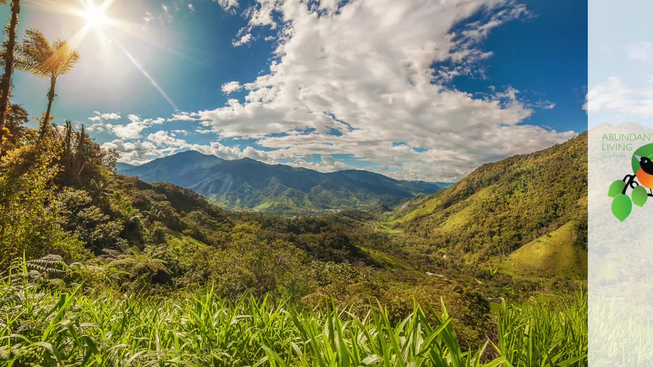 Interview with Author, Entreprenuer and world traveler Gregory Diehl | Ecuador Insider Podcast #33