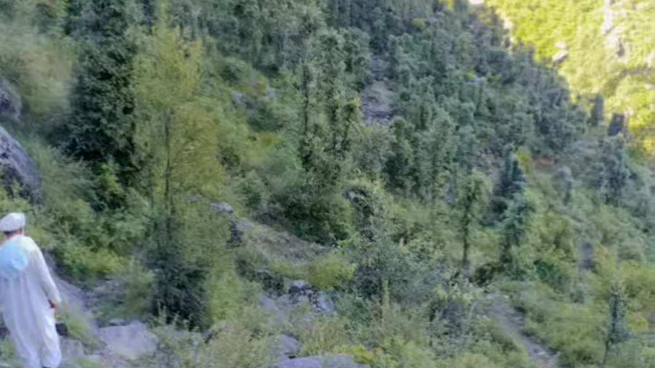 بازوانی ٹوور