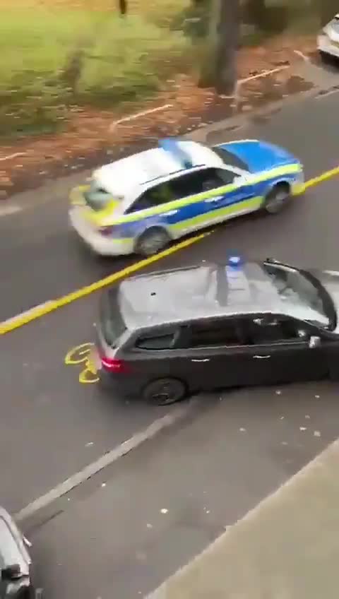 TERROR: Driver Ploughs Through Crowd Of Shoppers In Trier, Germany Killing Four