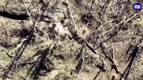 Everyday life of a new generation of war