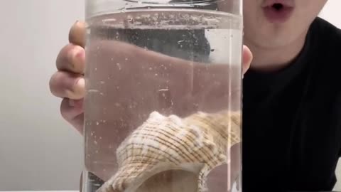 Really you didn’t even put water do you put vinegar_