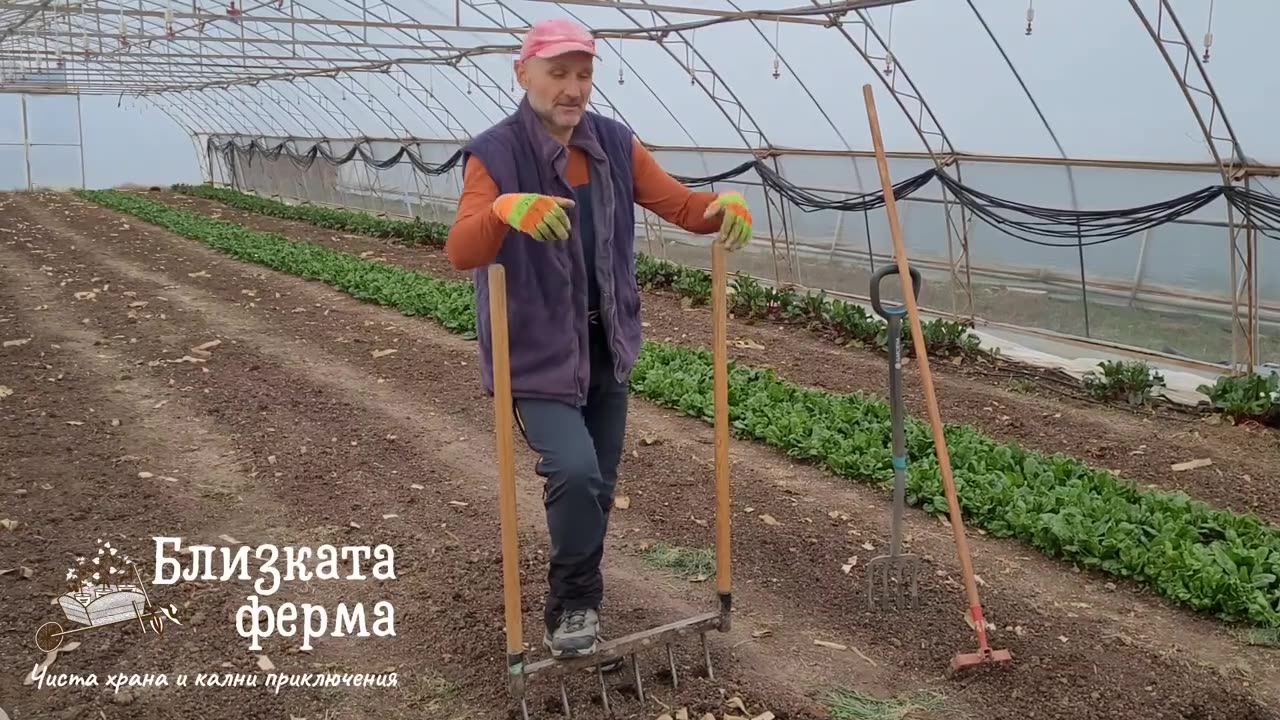 Принципи на възстановителното земеделие