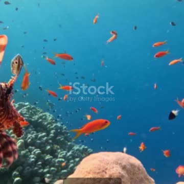 Top 5 Interesting Facts About Turks and Caicos