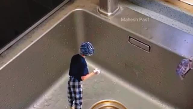 Best New funny video 2022