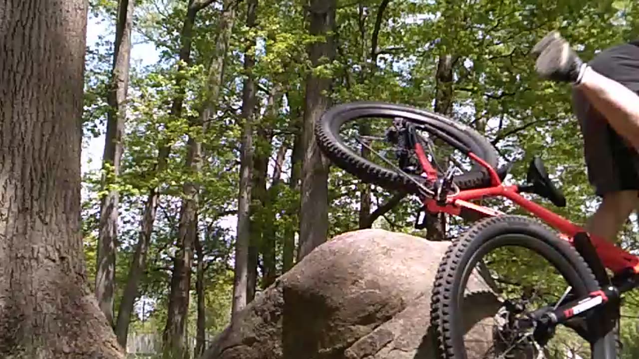 Up and over the bars...