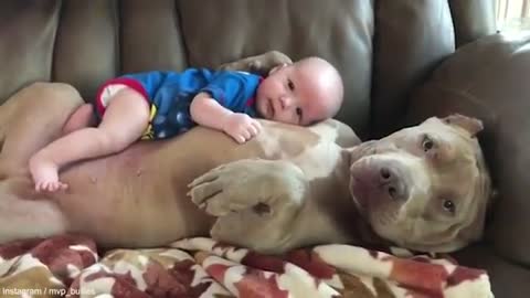 Child sleeps with puppy | bebe Duerme con Pitbull