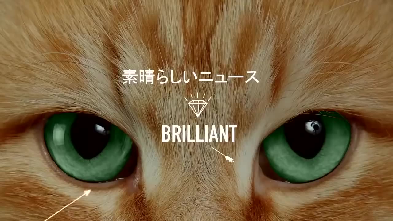 The Most Hilarious Japanese Pranks EVER Compilation 2023
