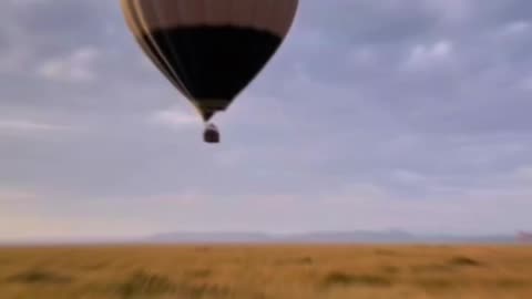 Hot Air Balloon