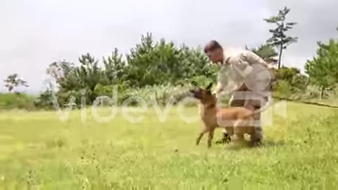 Attack Dogs Are Trained By The Us Military 1