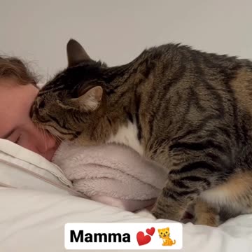 Mamma wake up.... Cat.