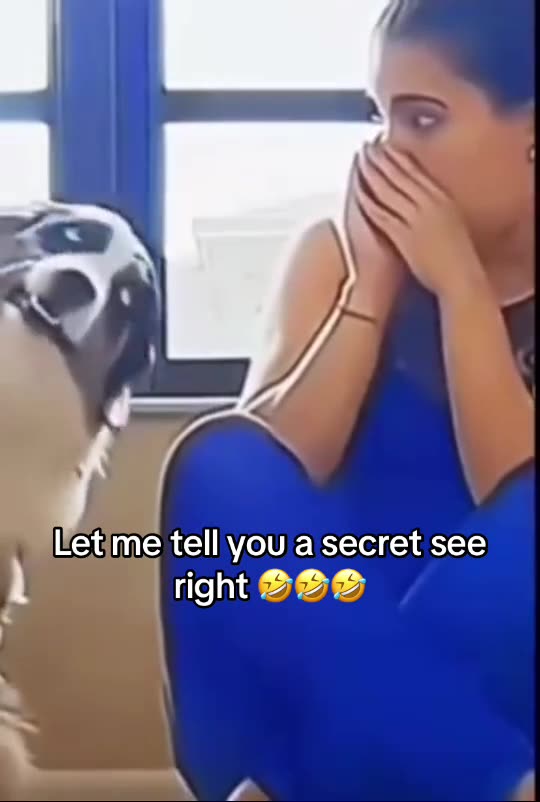 Dog has secret to tell - HILARIOUS!