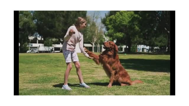 dog training by the beautiful girl