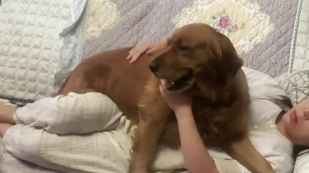 This girl would have excited while playing with this dog.