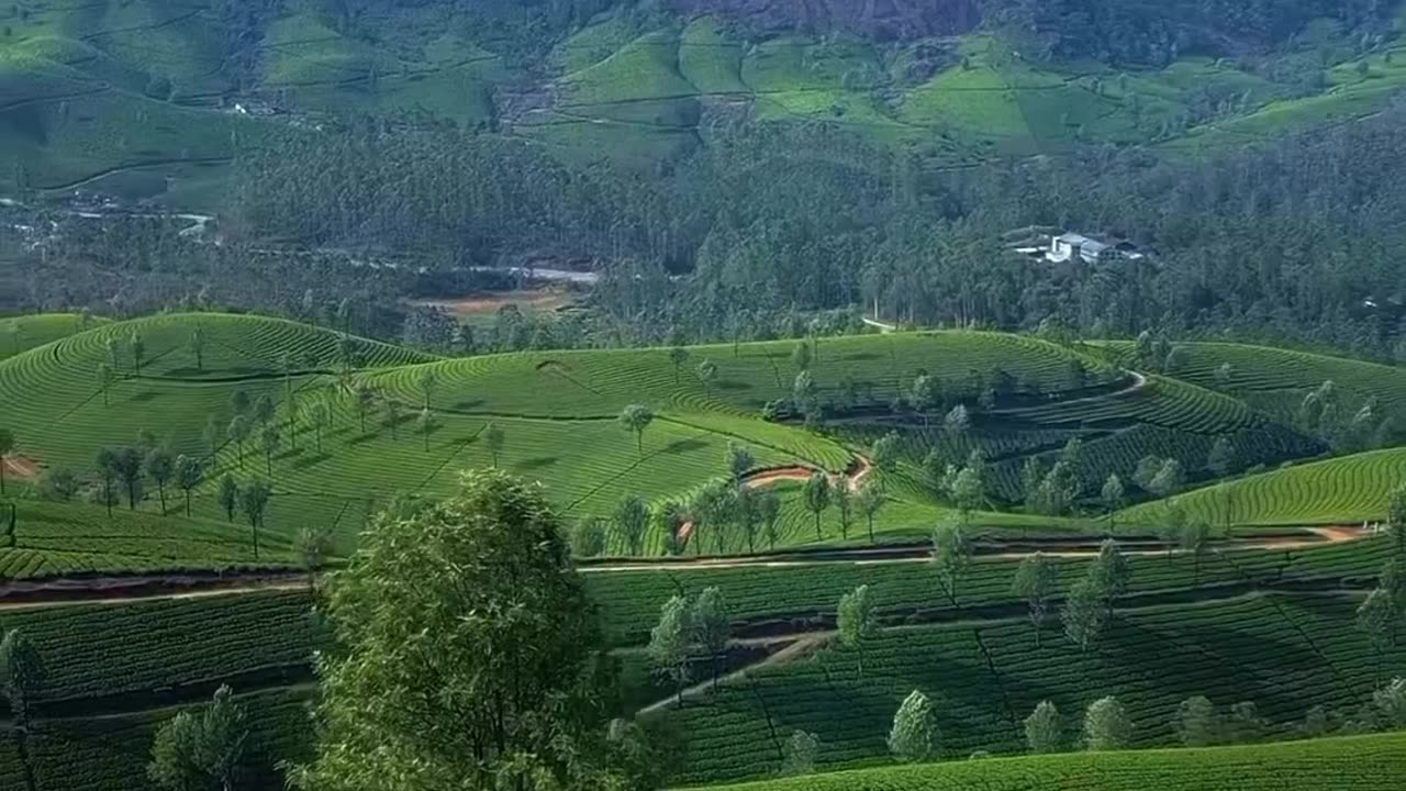 Beautiful View In Kerala India