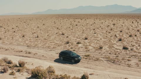 The beauty of the desert