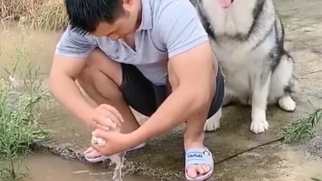 #funny #cute β€ #dogs and #cats πΆπ± part 16
