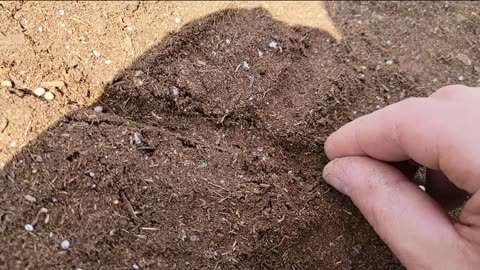 Garden Bed Startup on the Farm