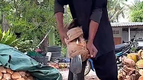 Wow 😮