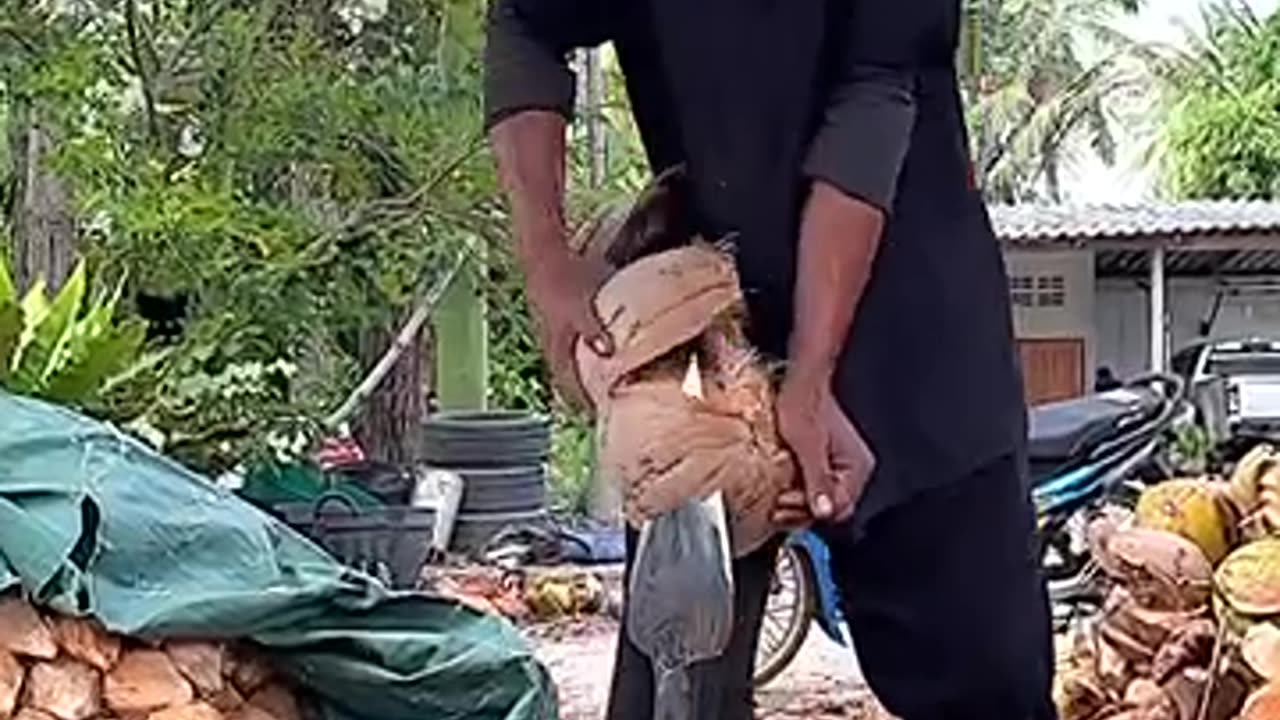 Wow 😮