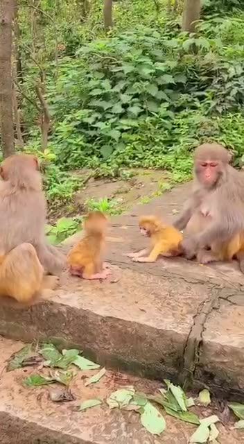 Keeping the trouble maker on a short leash 🤣