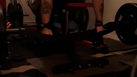 Arch Nemesis bench rows