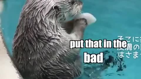 The much anticipated Inspector Otter is back!